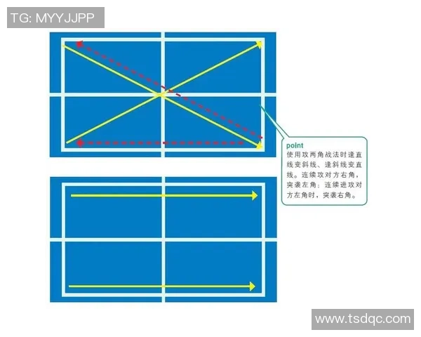 广州乒乓球队进攻战术解析与技术深度剖析