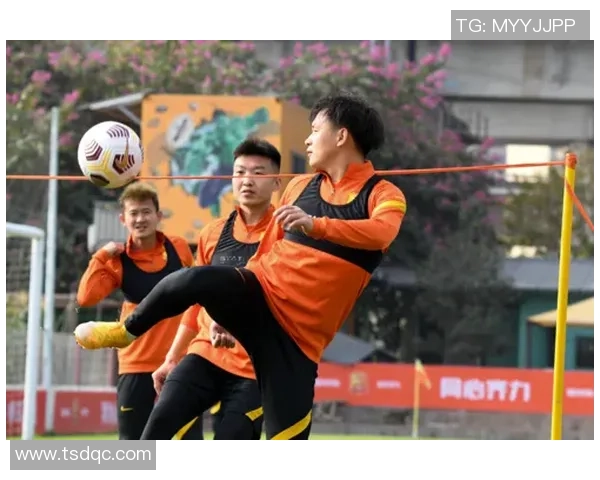 武汉足球队比赛经验探讨与发展策略分析